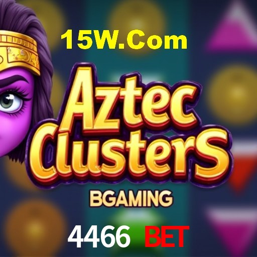 Interface Premium 4466 Bet